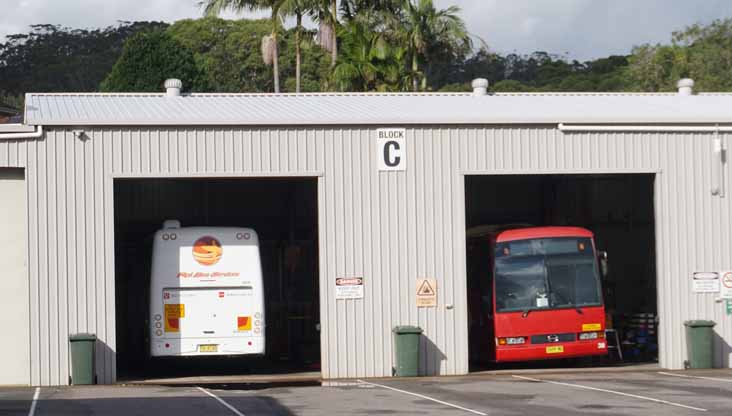 Red Bus Bonluck Senator 12 609 & Hino RG230 Express 38